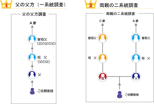 人気のある調査第一位