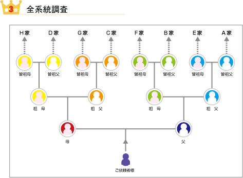 人気のある調査第三位