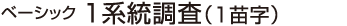 ベーシック1系統調査(1苗字)